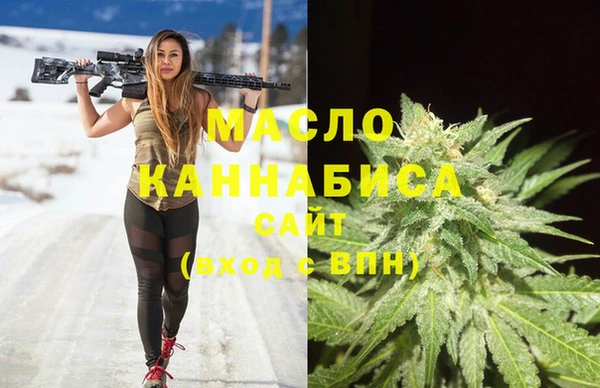сатива Сатка