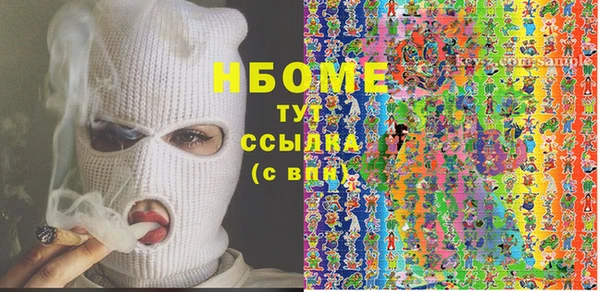 сатива Сатка