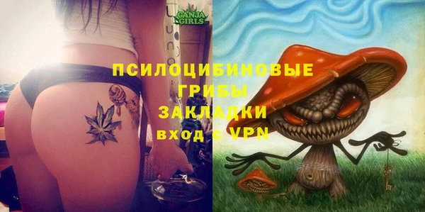 сатива Сатка