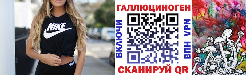 где можно купить наркотик  Белый  Псилоцибиновые грибы Magic Shrooms 